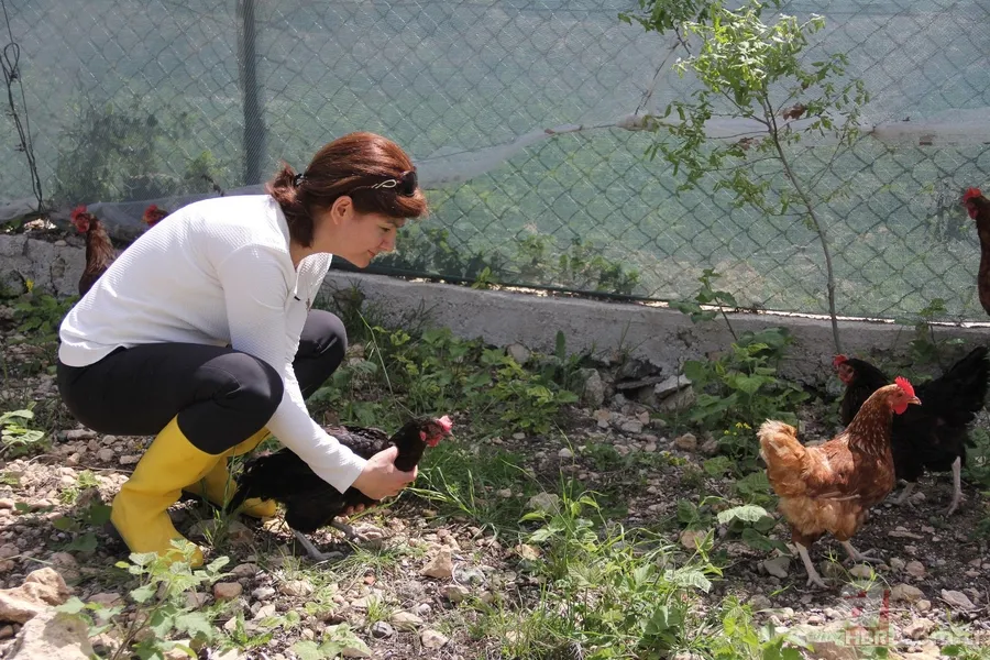 Çocuğunun yumurta alerjisi, anneye tavuk çiftliği kurdurdu 2