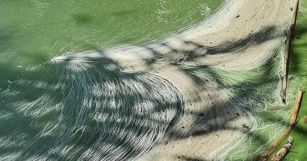 Eymir Gölü’nde müsilaj benzeri kirlilik: Simsiyah su fışkırıyor