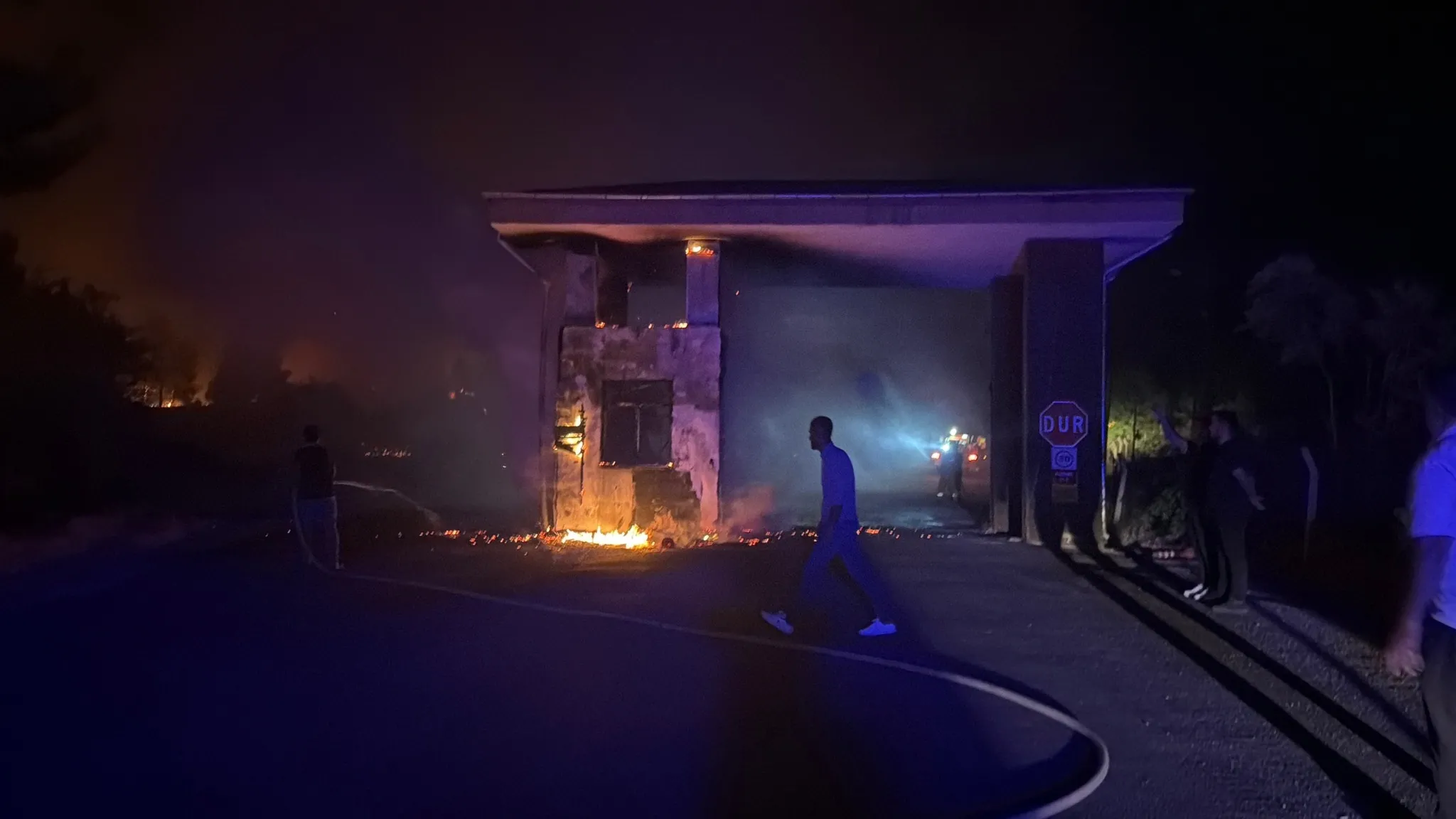 Adıyaman'da korkutan orman yangını! Alevler kontrol altına alındı