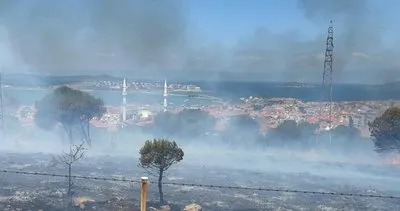 Balıkesir'de korkutan yangın Kırsal alanda çıkan yangına havadan müdahale edildi