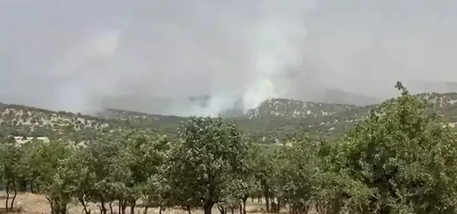 Mardin'de orman yangını