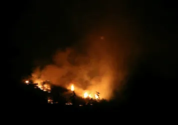 Adana'da orman yangını