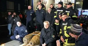 Patlamamış 2 bomba bulundu