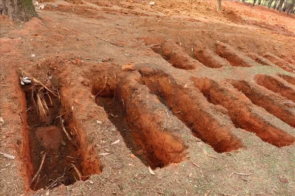 Dünya genelinde koronavirüsten ölen kişi sayısı 2,5 milyonu geçti! İşte ülke ülke güncellenen liste