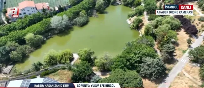 Ekran görüntüsü / A Haber