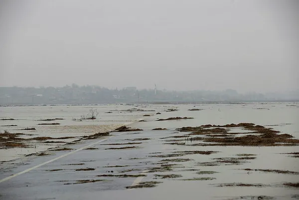 Turuncu alarm verilen Ergene Nehri taştı - 1