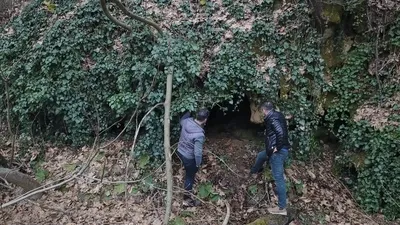 Çalılıkların arasında görenleri büyüledi