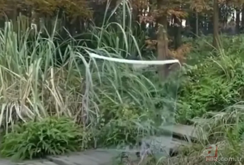 Milyonların çocukluk hayali gerçek oldu! Görünmezliği buldular! 4