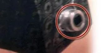 Böyle sapıklık görülmedi!