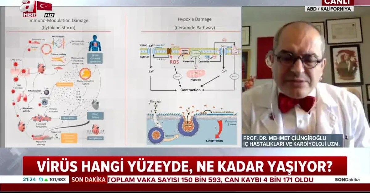 Prof. Dr. Mehmet Çilingiroğlu A Haber'de açıkladı: Koronavirüs hangi hastalıkları tetikliyor?