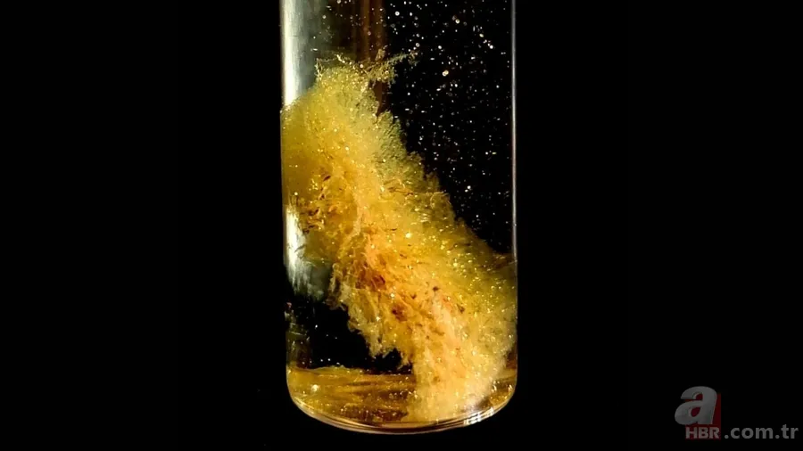 Evdeki değerli eşya: 22 ayar altın değerinde olduğu ortaya çıktı 5