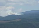 Bursada orman yangını