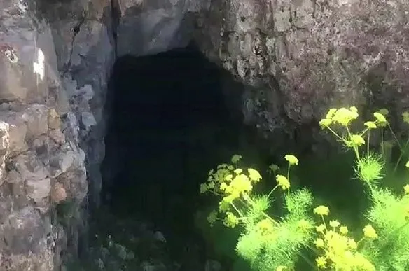 Mehmetçik teröristleri vurdukça ses HDP’den geldi