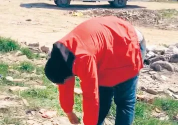 Bonzai kullananların 'ölüm tribi' hali!