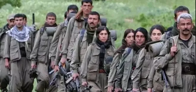 Teslim olan teröristten çarpıcı itiraflar! PKK’ya katılımın yolu HDP binasından geçiyor! ABD askerleri eğitti Fransızlar destek oldu...