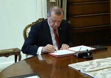 Başkan Recep Tayyip Erdoğan imzaladı! Üç bölge 'kesin korunacak hassas alan' ilan edildi