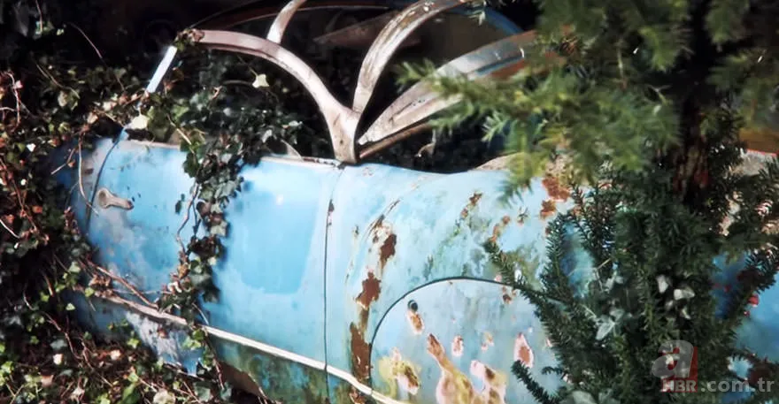 Corvette marka arabalar çürümeye terkedilmiş halde bulundu 🚗 25