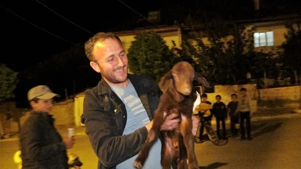 Yüzlerce koyun kent merkezine indi | Sosyal medyada çok konuşulan görüntüler - 2
