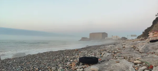 1692256237888.jpg Kastamonu sahilini 'upwelling' dondurdu! 11 dereceye kadar düştü: İnsan sağlığı açısından tehlikeli - 2