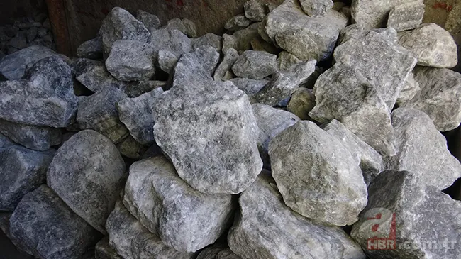 Bulunduğunuz odaya bir tane koyun! Öksürük, nefes darlığı sorununu anında çözün 8