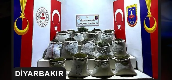 Diyarbakır’da narko-terör operasyonu: 2 milyon 425 bin 500 kök kenevir ele geçirildi