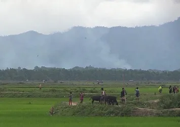 Arakan'dan dumanlar yükseliyor