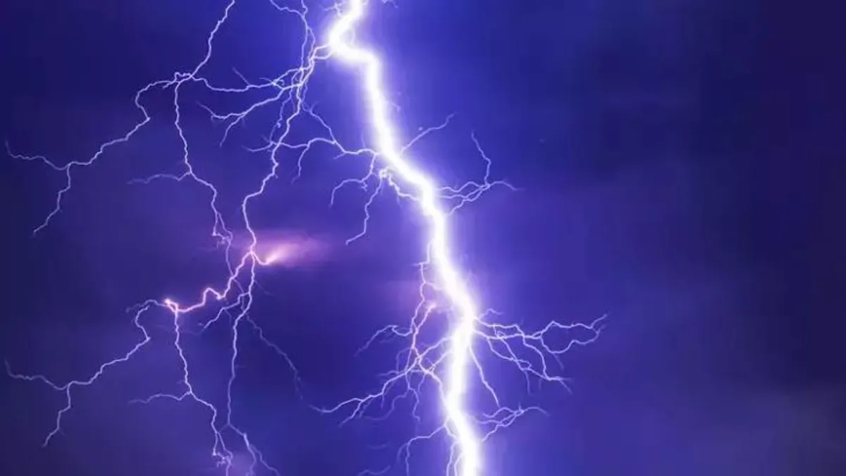 Samsun'da korku dolu anlar! Yıldırım isabet etmesi sonucu ağaçlık alanda yangın çıktı