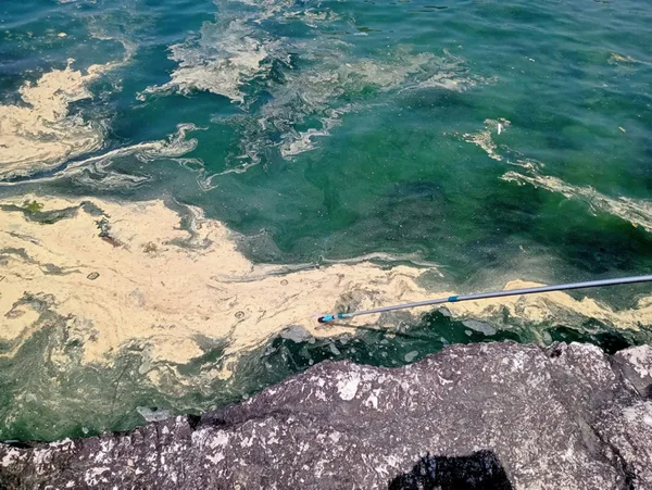 Son dakika: Karadeniz'de şaşırtan görüntü! Nedeni belli oldu