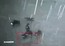 Köye inen kurt sürüsü köpeği parçaladı