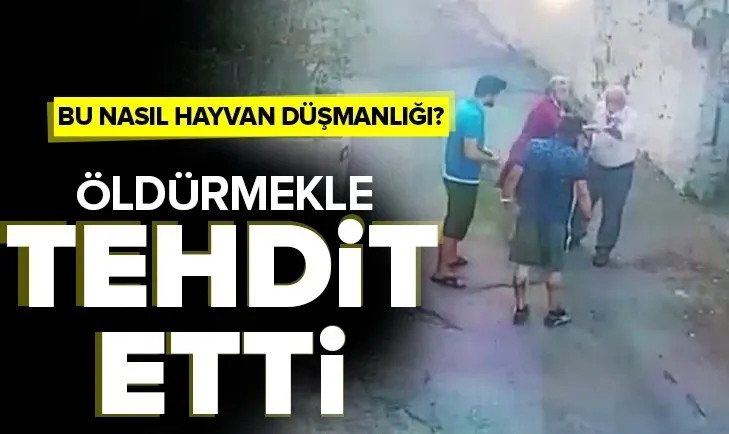 Sokak köpeklerini besleyen vatandaşa tehdit! O anlar kamerada