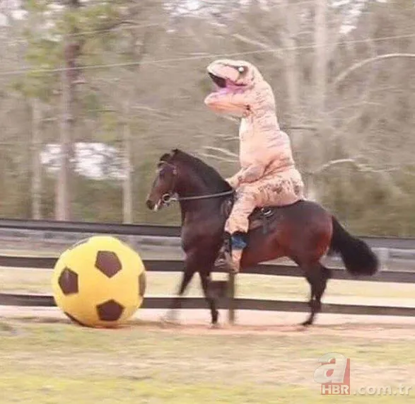 Anlamsız fotoğraflar 4