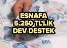 Esnafa 2 destek birden