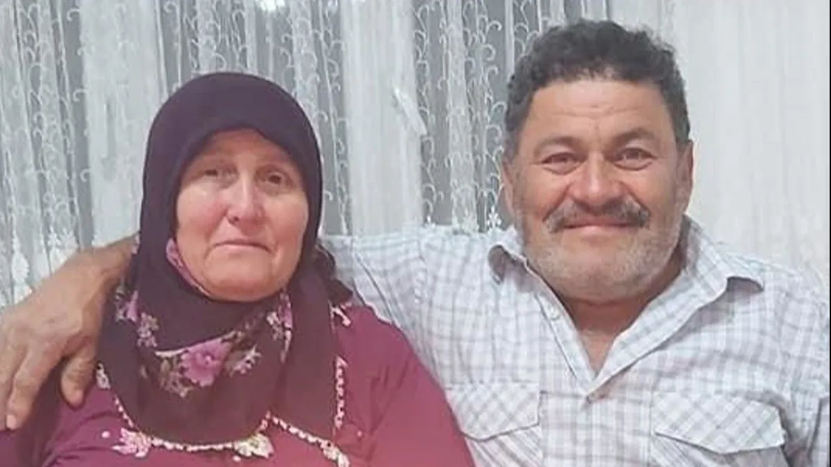 Ordu'da korku dolu anlar! Karı koca yaban domuzunun saldırısına uğradı