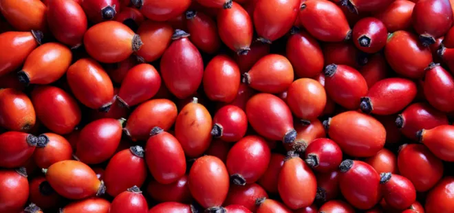 Faydalarını duyunca bardak bardak içeceksiniz! Kilo vermeyi hızlandırıyor...