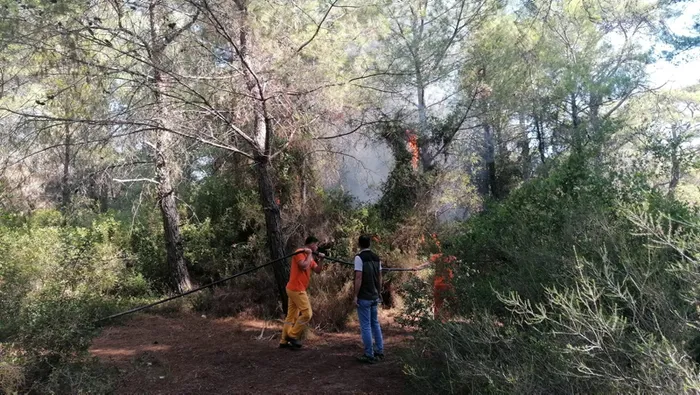Manavgat’ta ormanı yakarken suçüstü yakalanan şüpheli suç makinesi çıktı! Annesine ait lüks evi yakmış