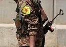 Barış Pınarı Harekatı sonrası YPG/PKK 3 binden fazla DEAŞlı teröristi serbest bıraktı
