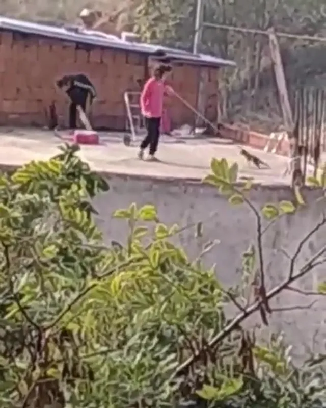 Son dakika: Kocaeli'de kan donduran işkence görüntüleri: Kediyi iple çatıdan sarkıtıp süpürge ile vurdular - 2