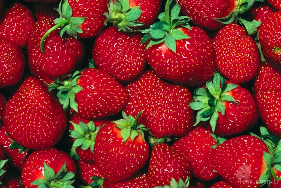 Mor renkte şifa var! Mor ve bordo sebzeler hastalıklarla savaşıyor 11