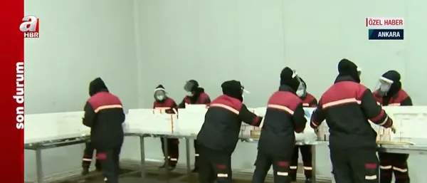 1618844492667.jpg Son dakika: Aşılar nasıl saklanıyor? Karekodun önemi nedir? Uzman isim A Haber'de açıkladı - 4