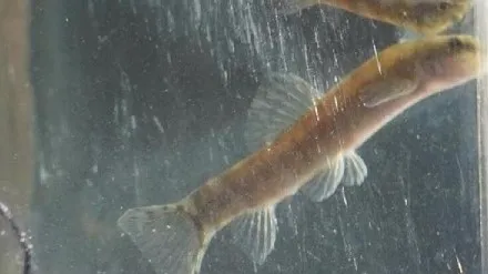 dunyaca-unlu-oyuncu-leonardo-dicaprionun-turkiye-paylasimi-dikkat-cekti-tam-47-sene-sonra-1641550757611.jpg Dünyaca ünlü oyuncu Leonardo DiCaprio’nun Türkiye paylaşımı dikkat çekti: Tam 47 sene sonra… - 4