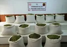 Uyuşturucu tacirlerine büyük darbe!