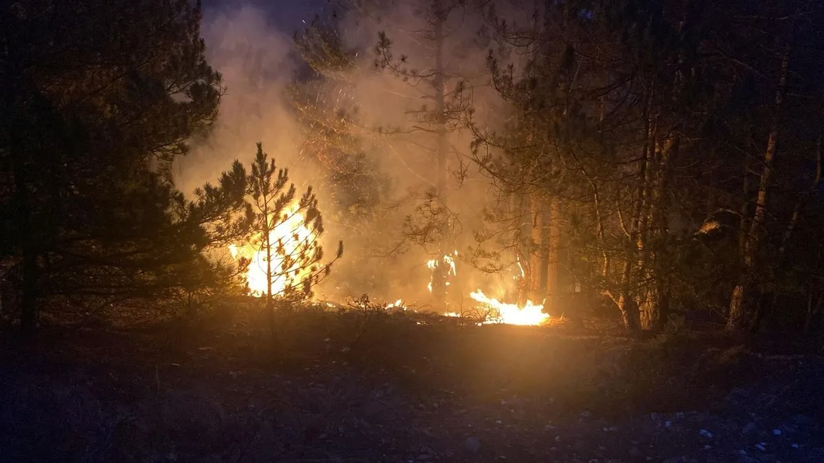 Gediz'deki orman yangını ekiplerin mücadelesiyle söndürüldü