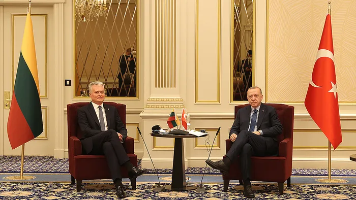Son dakika: Başkan Erdoğan Litvanya Cumhurbaşkanı Gitanas Nauseda ile görüştü - 1