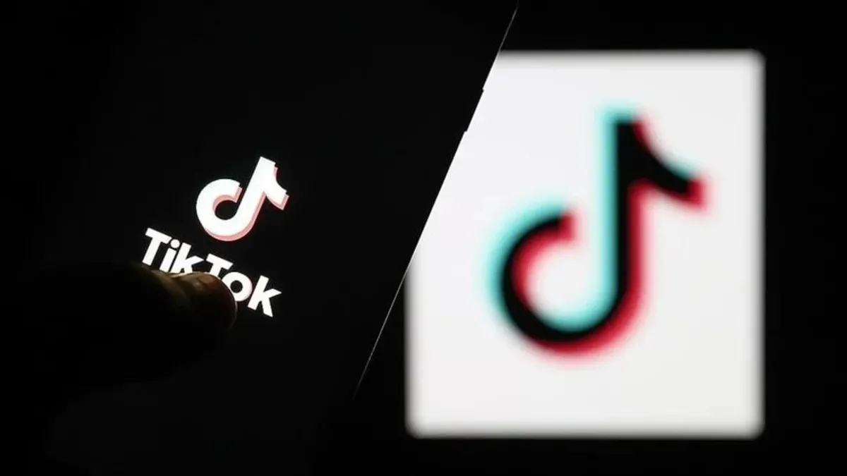 TikTok yetkilileri komsiyona çağrılacak! Hüseyin Yayman: "Tiktok ulusal güvenlik sorunu haline geldi"
