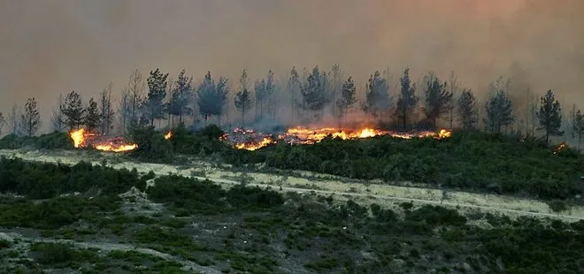 Son dakika: Tarım ve Orman Bakanı Bekir Pakdemirli’den Adana’daki orman yangını ile ilgili açıklama