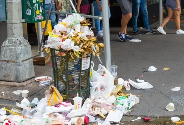 New York’u fareler bastı! Sıçan Şefi’ne 170 bin dolar maaş