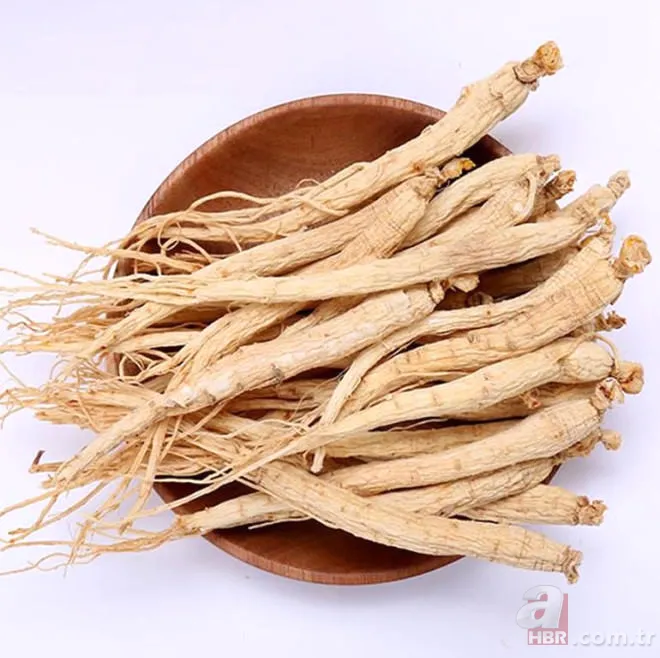 256 yıl yaşayan adamın sırrı çözüldü! 6