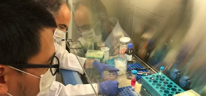 Türk bilim insanları coronavirüse karşı çalışıyor
