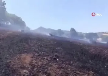 Balıkesir'de samanlar tarlada yandı