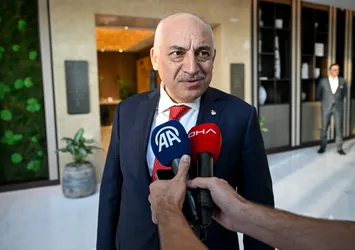 Mehmet Büyükekşi istifa etti mi, edecek mi? TFF Başkanı Mehmet Büyükekşi kimdir, kaç yaşında, aslen nereli?